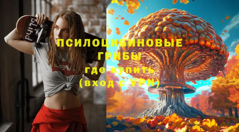 купить наркоту  Новоалександровск  Галлюциногенные грибы Magic Shrooms 